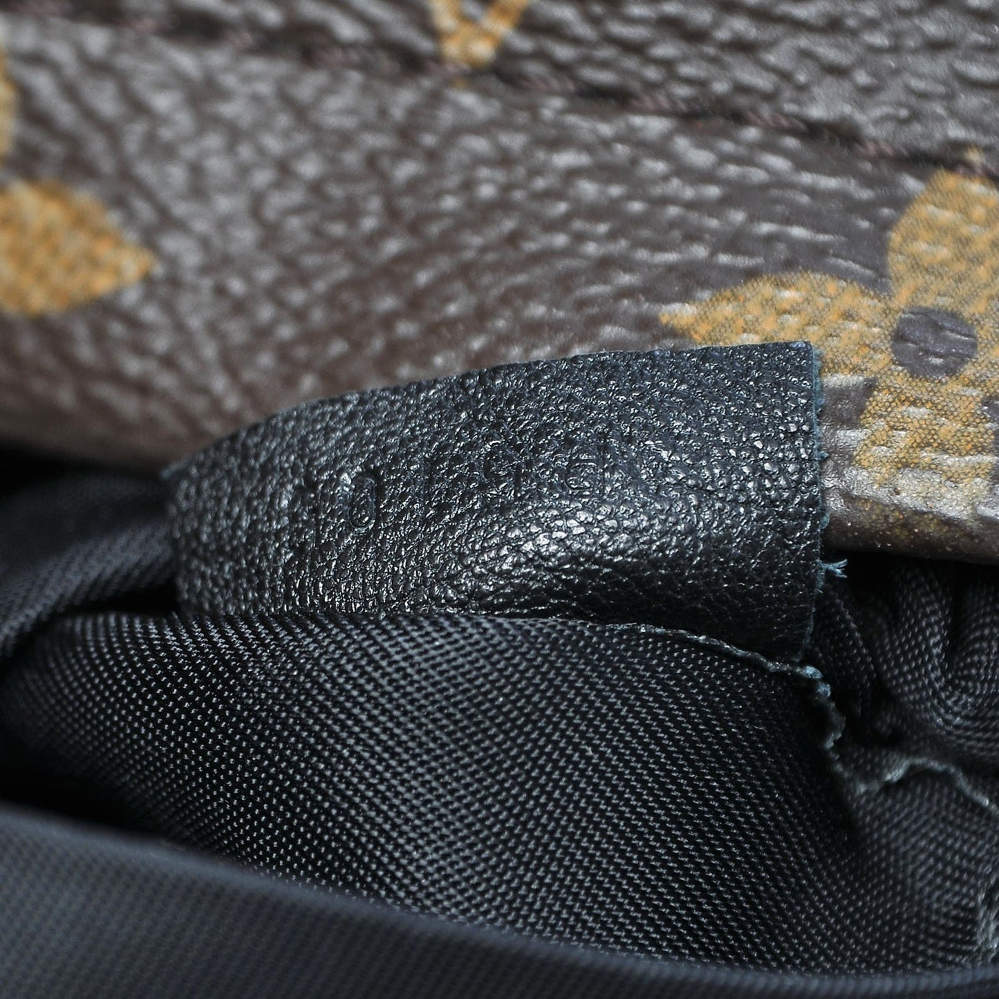 Monogram Palm Springs Backpack Mini