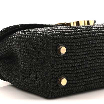 Celine Raffia Calfskin Teen Nino Black 8 of 9