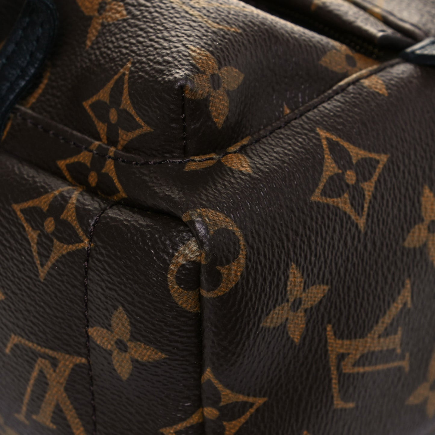 Monogram Palm Springs Backpack Mini