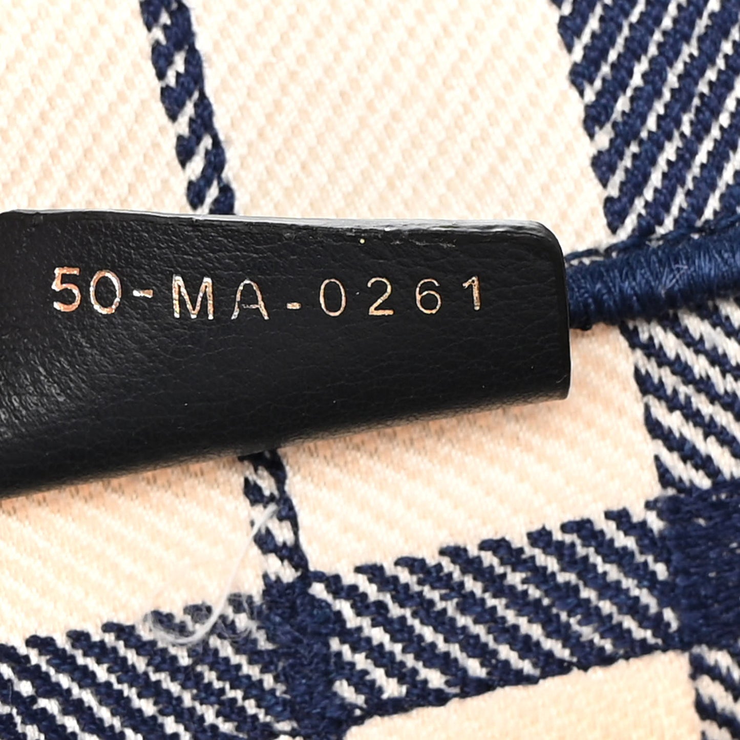 Canvas Embroidered Large Check'n'Dior Book Tote Blue