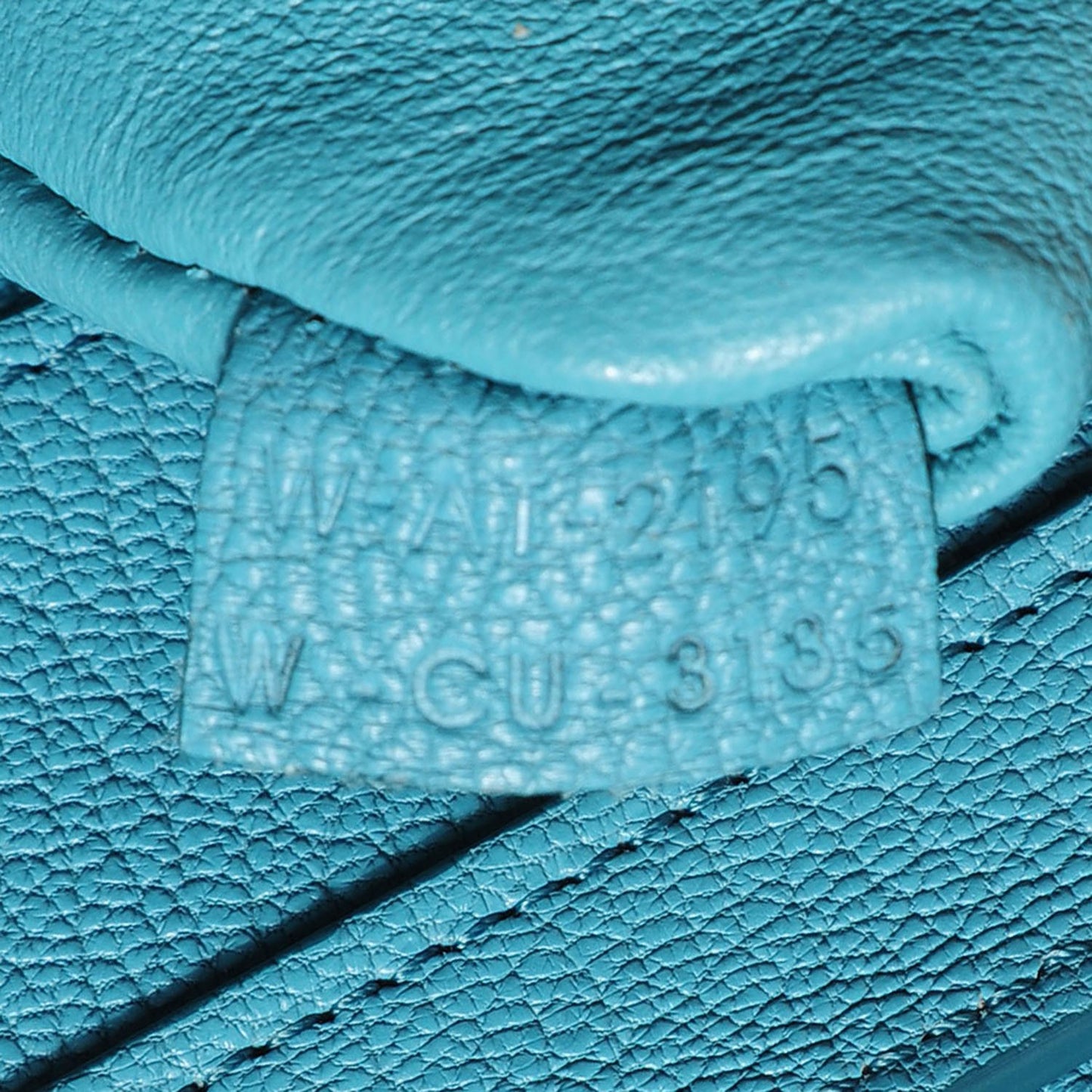 Goatskin Micro Luggage Antarctic