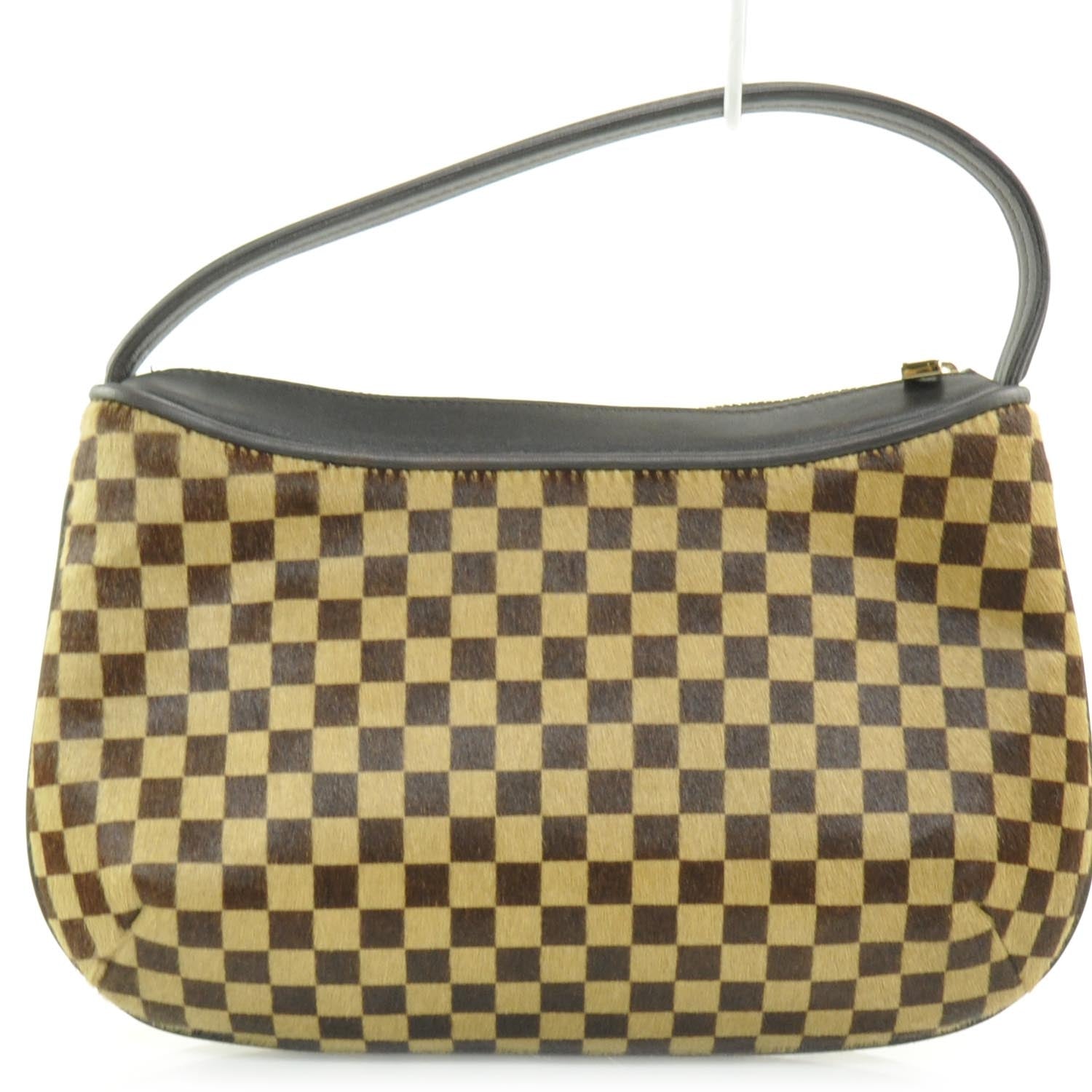 Louis Vuitton Damier Sauvage Tigre 4 of 8