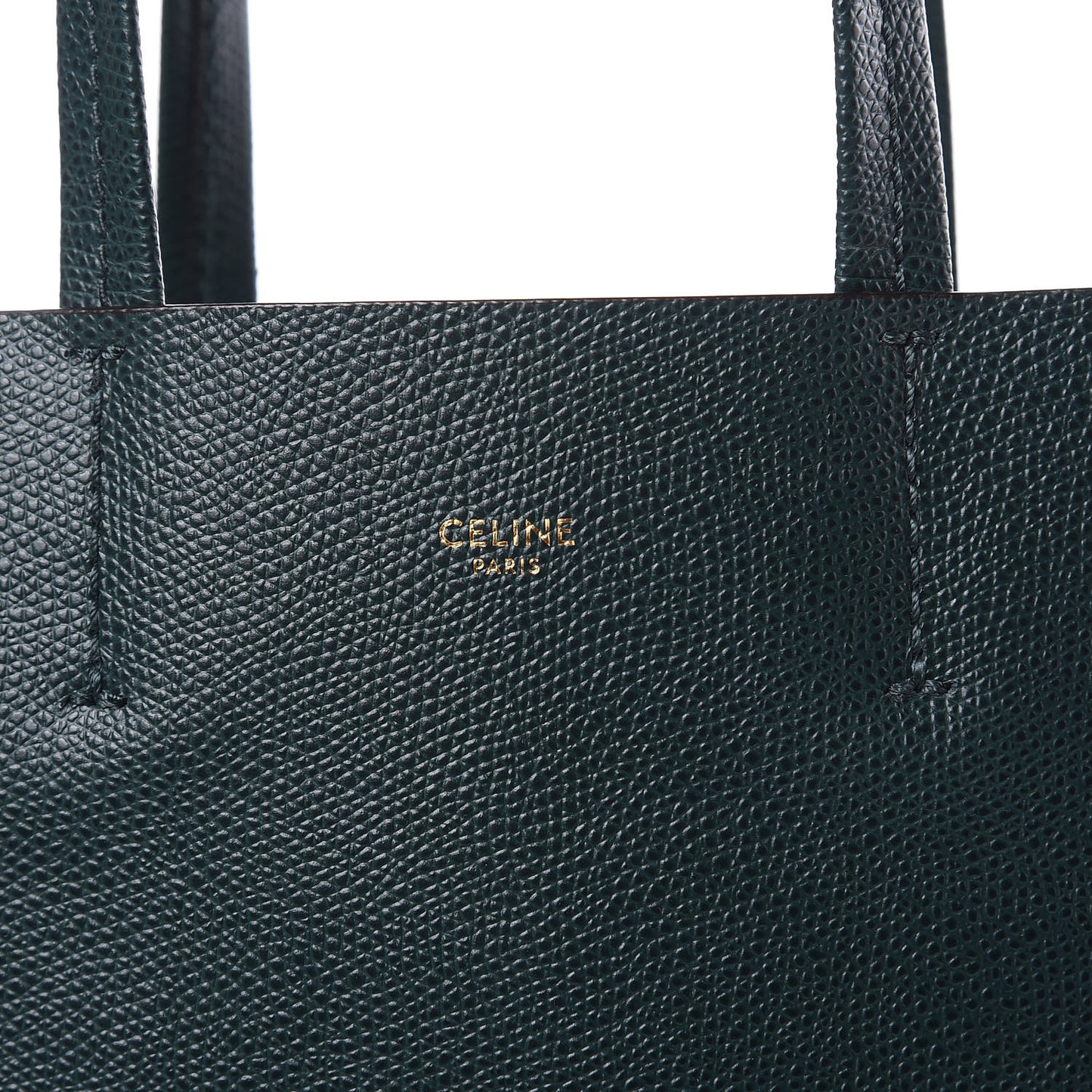 Grained Calfskin Small Vertical Cabas Amazone