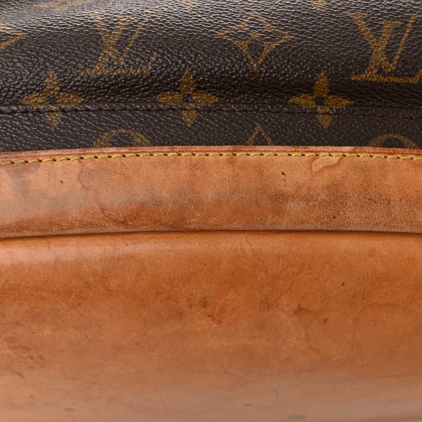 Monogram Montsouris GM Backpack