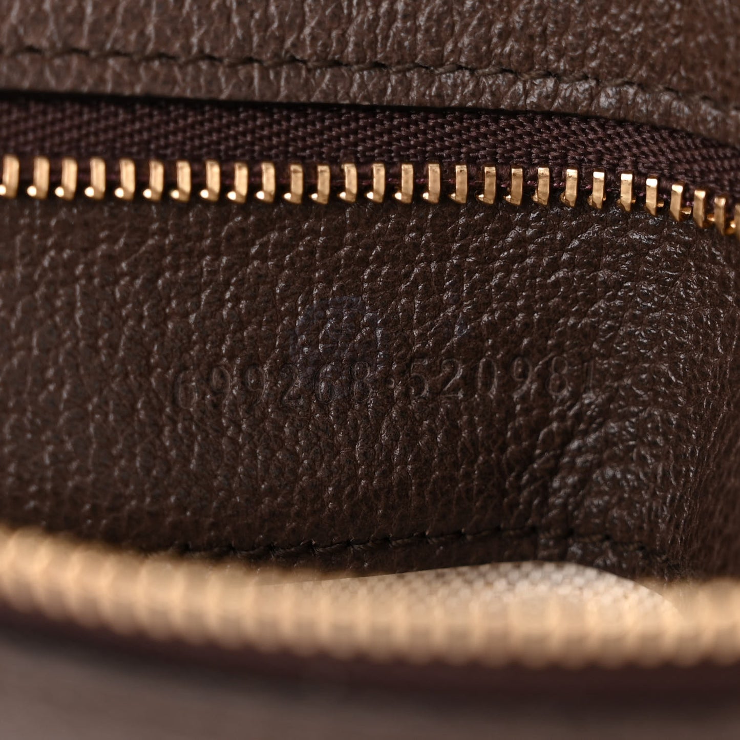 GG Supreme Monogram Textured Dollar Calfskin Blondie Chain Shoulder Flap Bag Beige Ebony New Acero