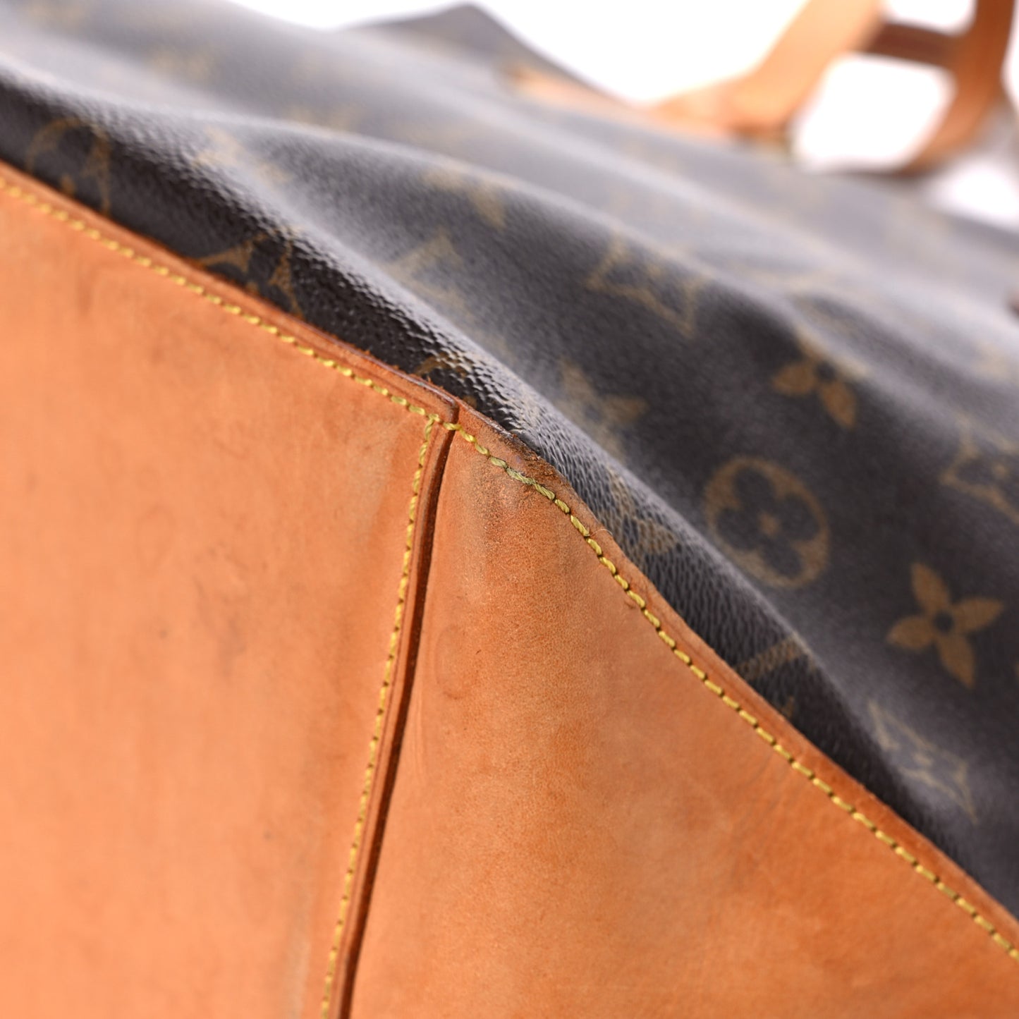 Monogram Cabas Mezzo