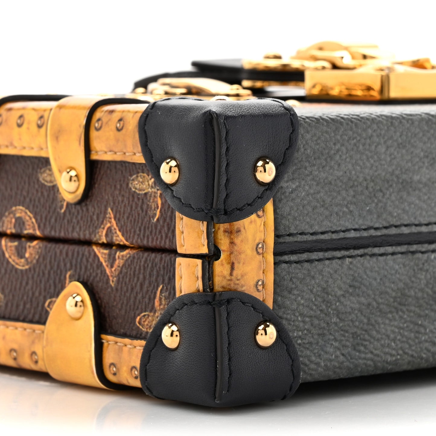 Canvas Calfskin Transformed Monogram Petite Malle