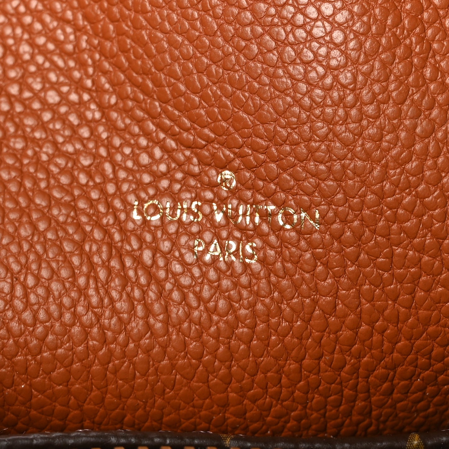 Monogram Manhattan NM Caramel