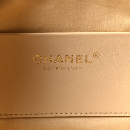 Chanel Pony Hair Mini Chanel 25 Handbag Beige Black 5 of 9