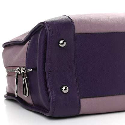 Loewe Goatskin Amazona 36 Purple 8 of 10