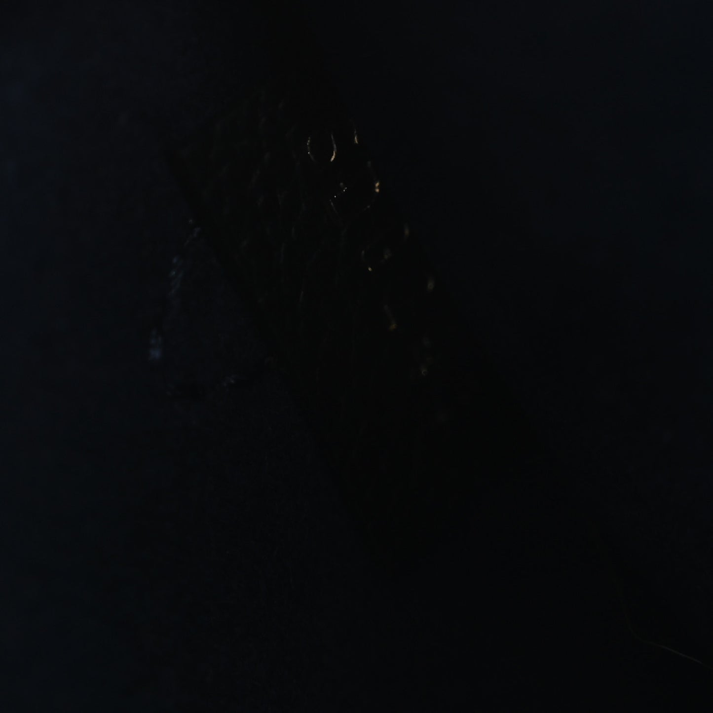 Empreinte Monogram Giant Neverfull MM Pochette Black