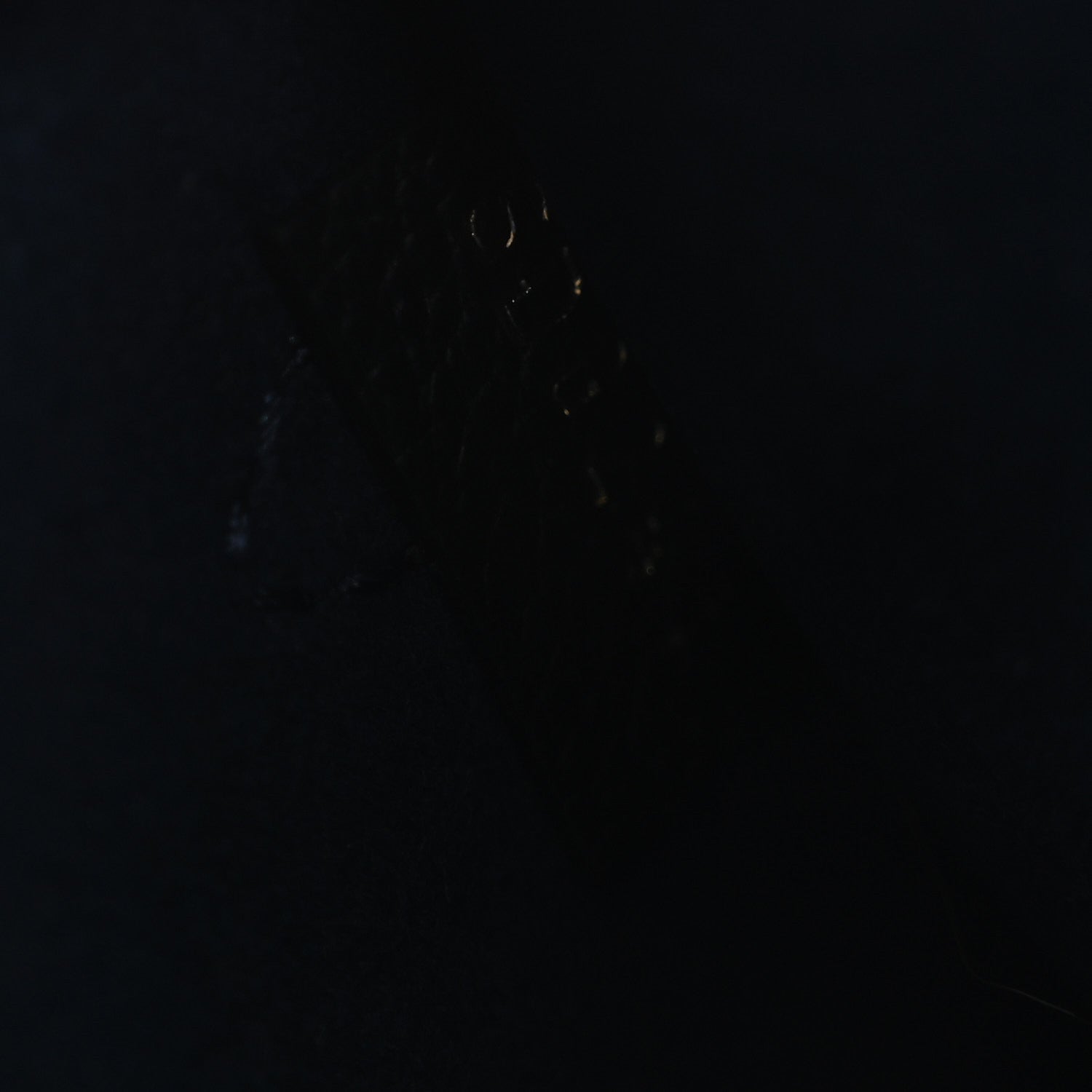Louis Vuitton Empreinte Monogram Giant Neverfull MM Pochette Black 7 of 9