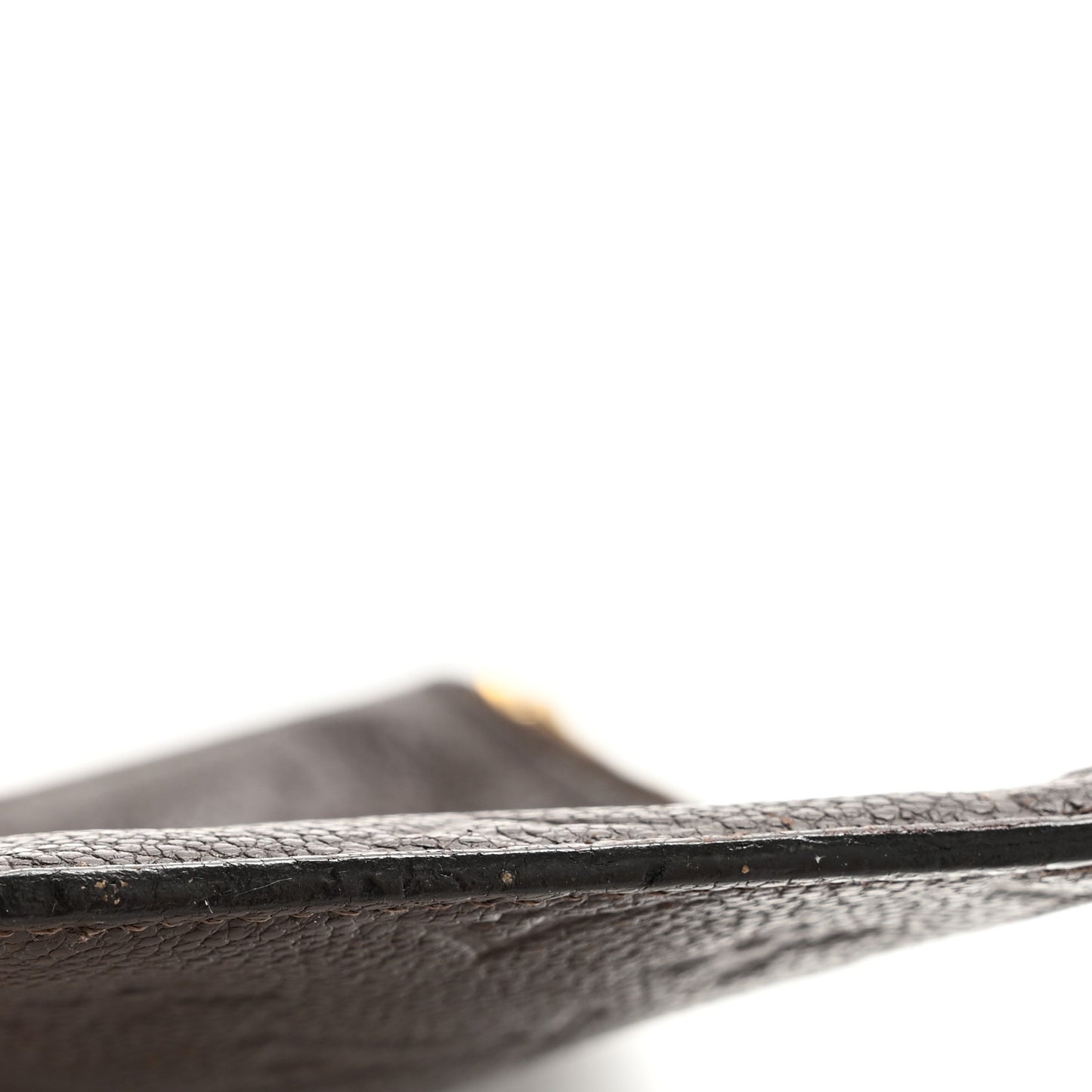 Empreinte Felicie Chain Wallet Zippered Insert Earth