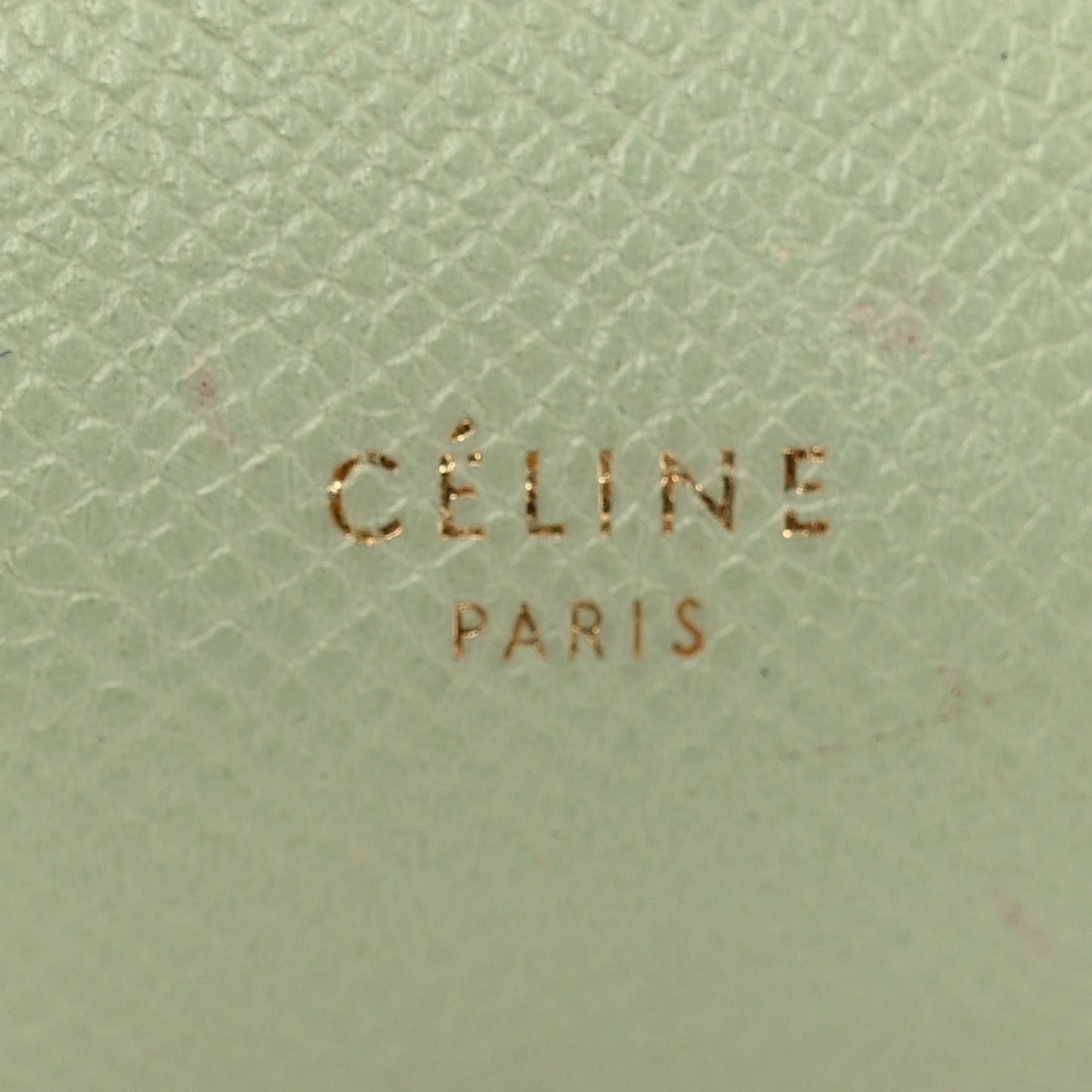 Grained Calfskin Nano Belt Bag Jade