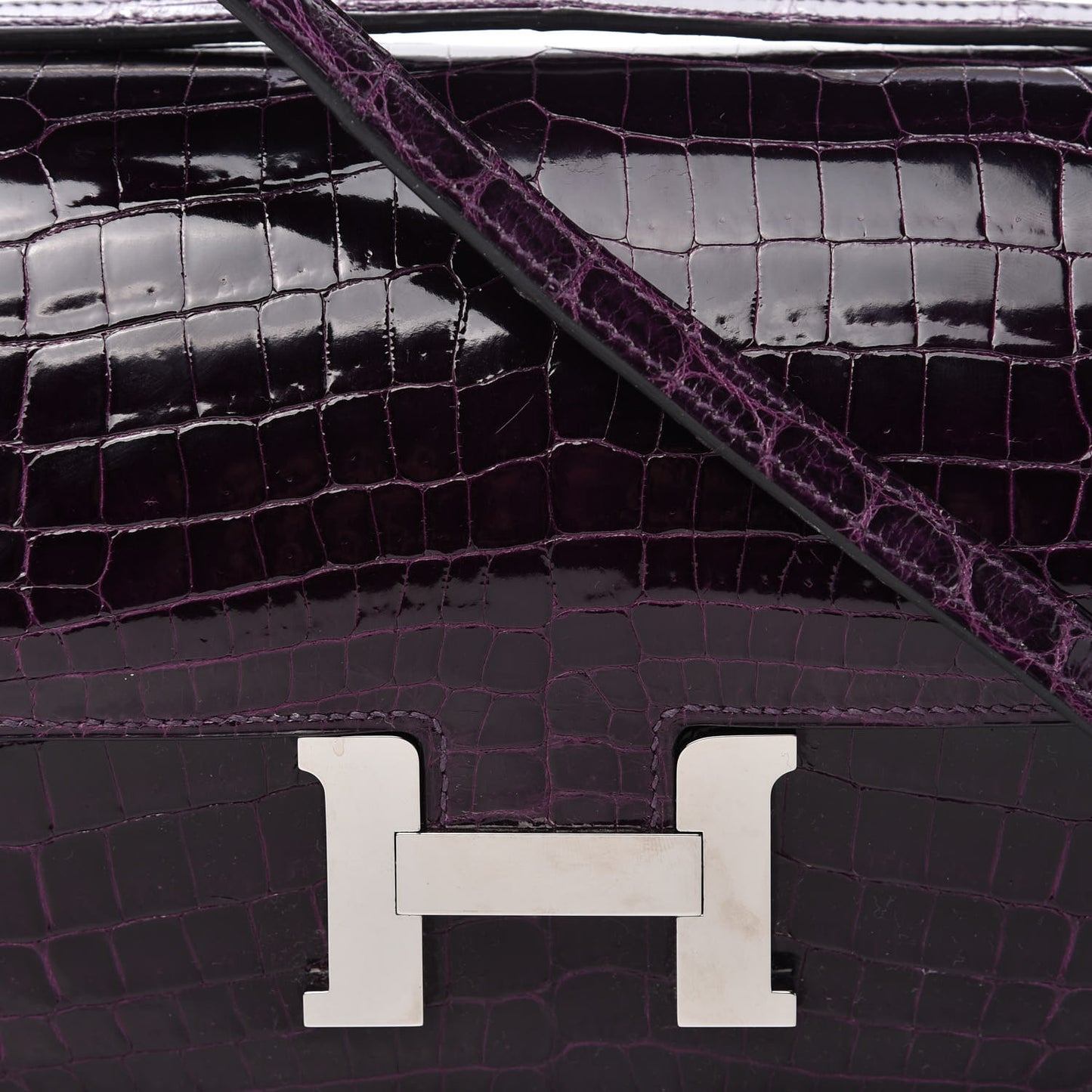 Shiny Niloticus Crocodile Constance Elan 25 Amethyste