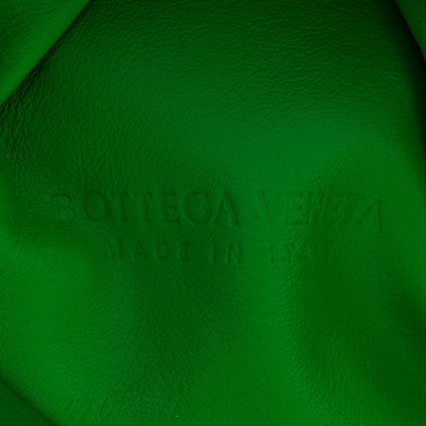 Smooth Butter Calfskin Medium The Shoulder Pouch Parakeet