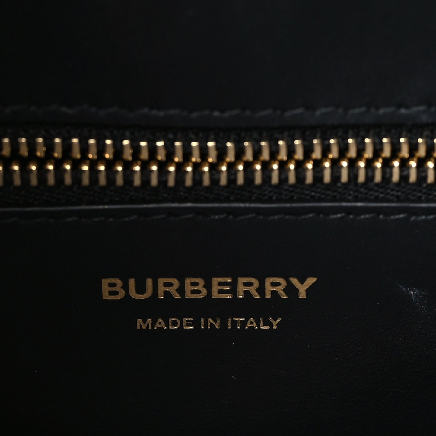 Crocodile Embossed Calfskin Mini Frances Tote Black