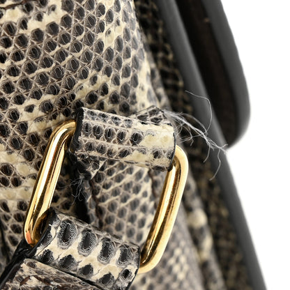 Celine Lizard Teen Triomphe Natural 13 of 13