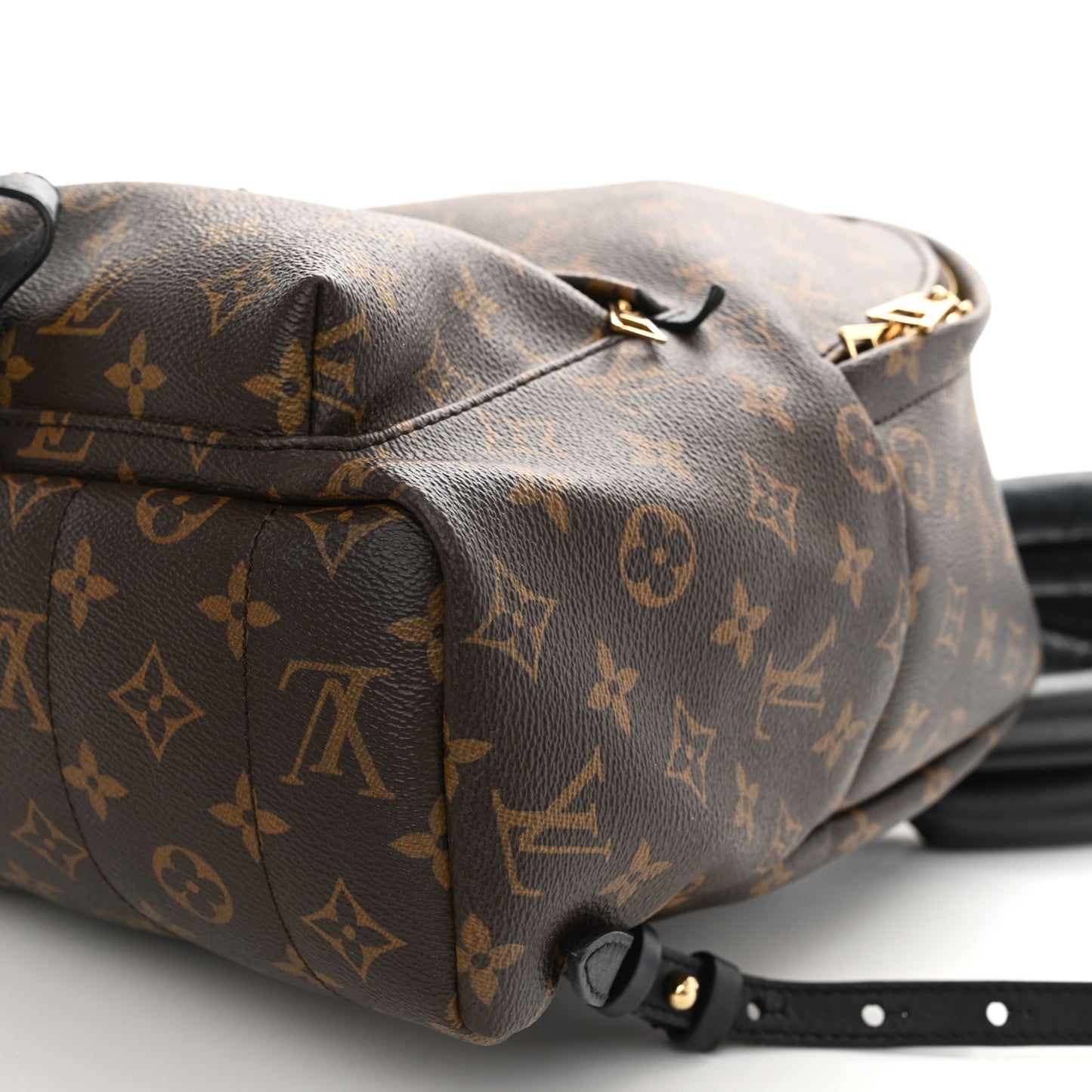 Monogram Palm Springs Backpack MM