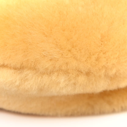 Bottega Veneta Shearling Mini Jodie Teddy 10 of 10