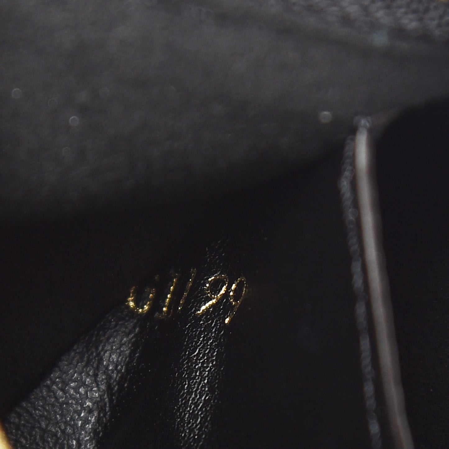 Monogram Giant Jungle Pochette Double Zip Black