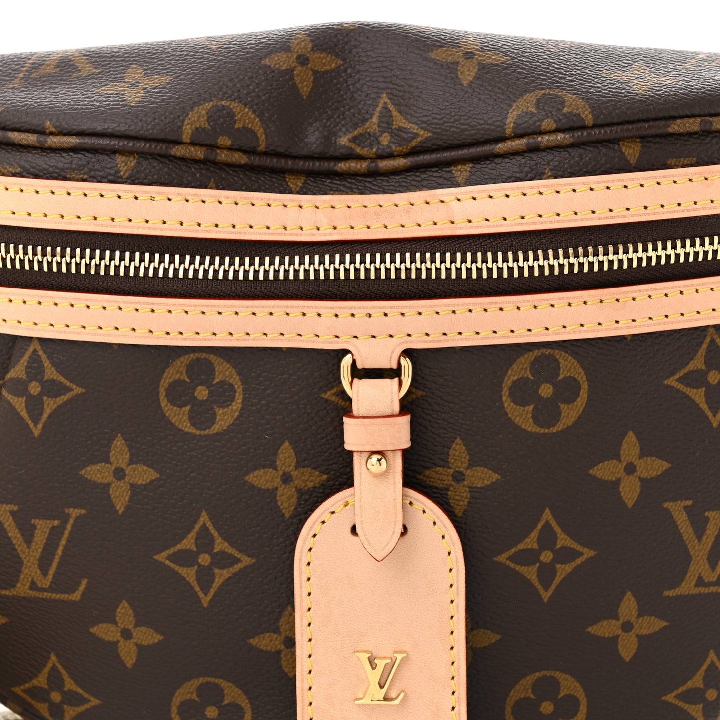 Monogram High Rise Bumbag