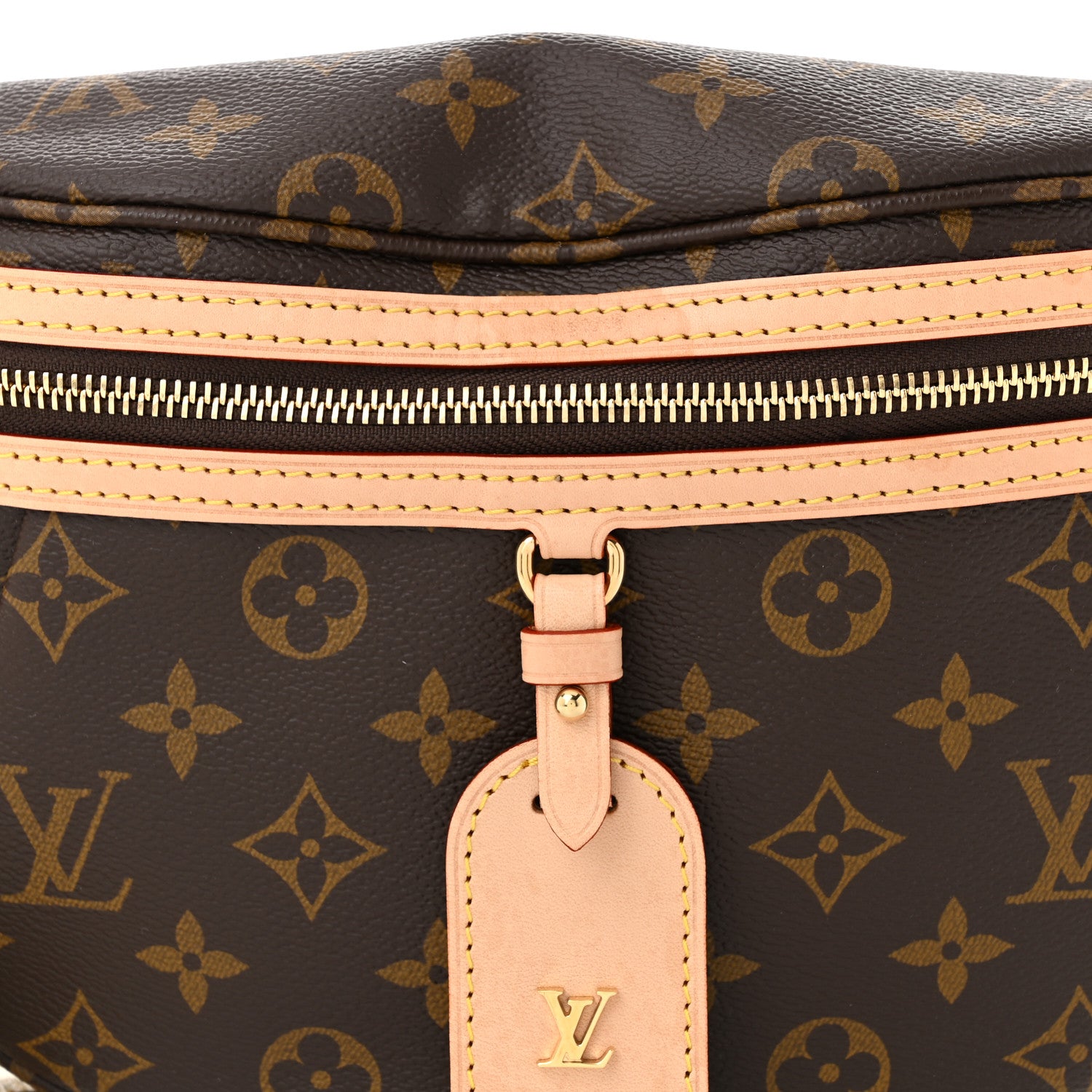 Louis Vuitton Monogram High Rise Bumbag 7 of 10