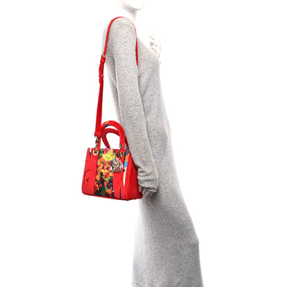Christian Dior X SHARA HUGHES Velvet Calfskin Printed Medium Lady Dior Art Red Multicolor 2 of 10
