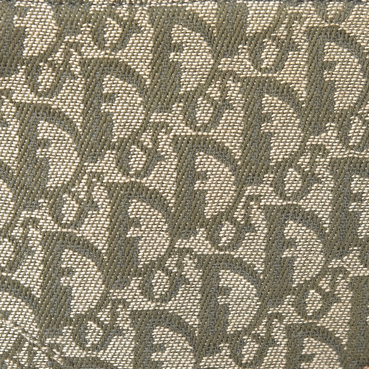 Monogram Mini Saddle Pochette Green