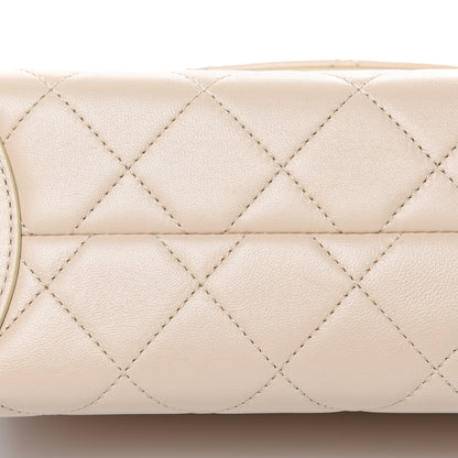 Chanel Lambskin Quilted Medium Trendy Spirit Top Handle Bag Beige 10 of 12