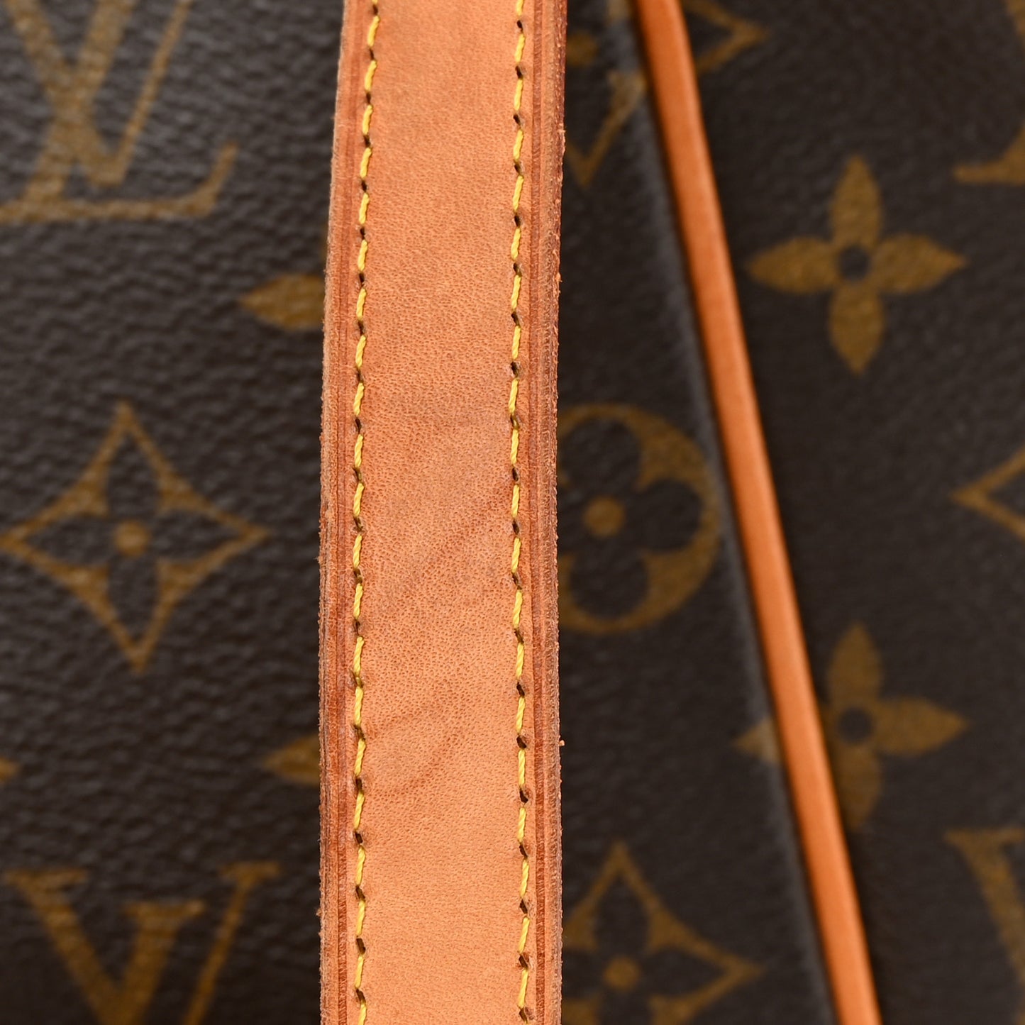 LOUIS VUITTON Monogram Totally PM