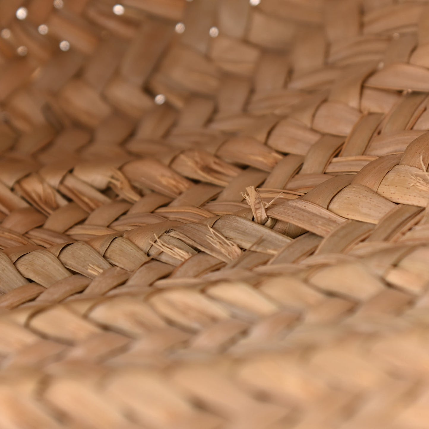 Woven Straw Small Loubishore Tote Beige