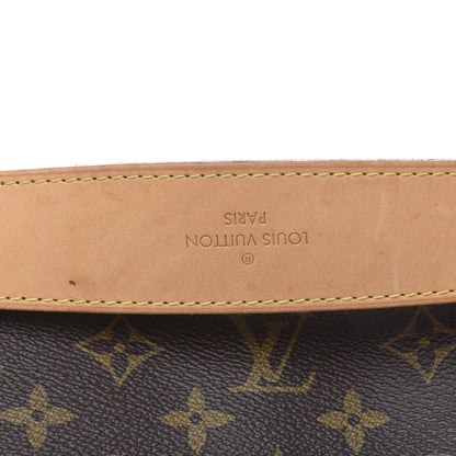 Louis Vuitton Monogram Delightful PM 12 of 14