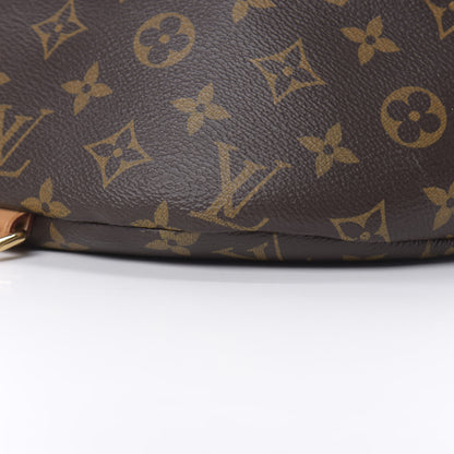 Louis Vuitton Monogram Bumbag 10 of 13