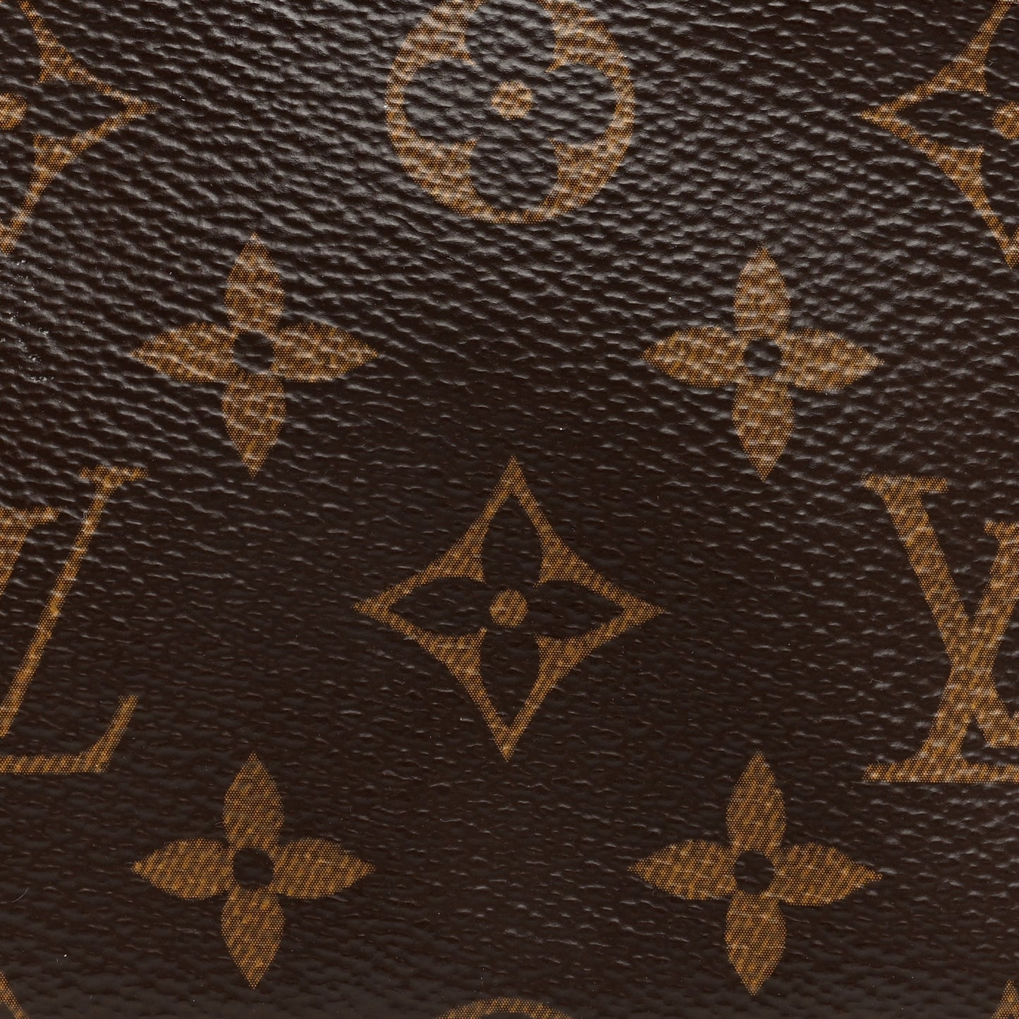 Monogram Mini Pochette Accessories