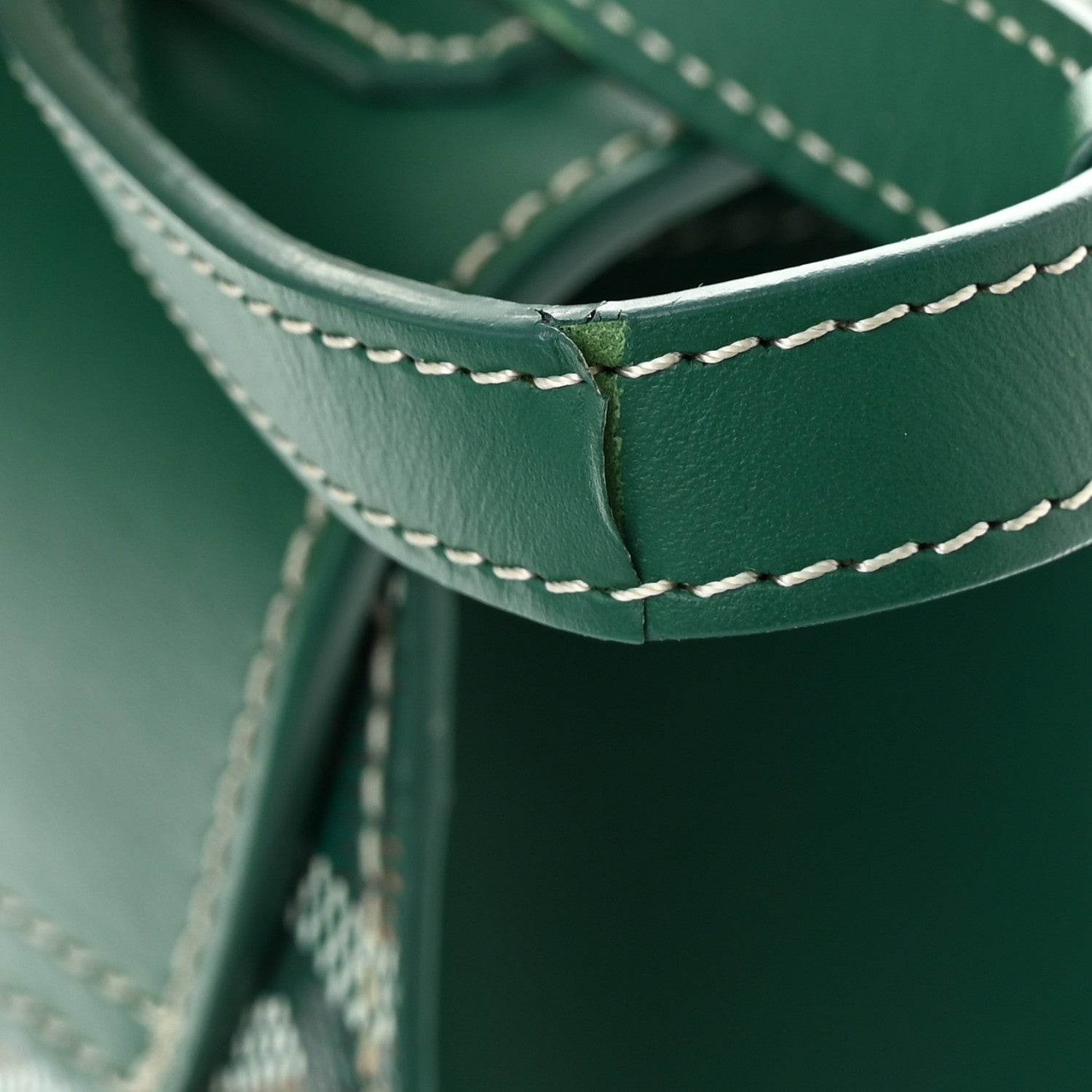 Goyard Goyardine Saigon PM Green 10 of 10
