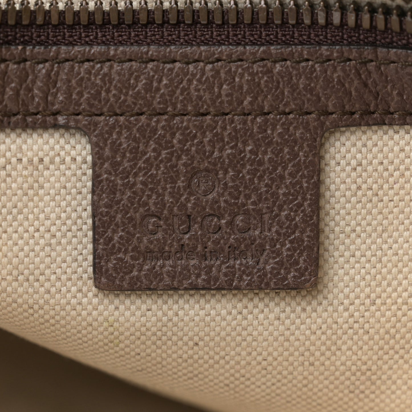 GG Supreme Monogram Web Small Ophidia Half Moon Hobo Brown