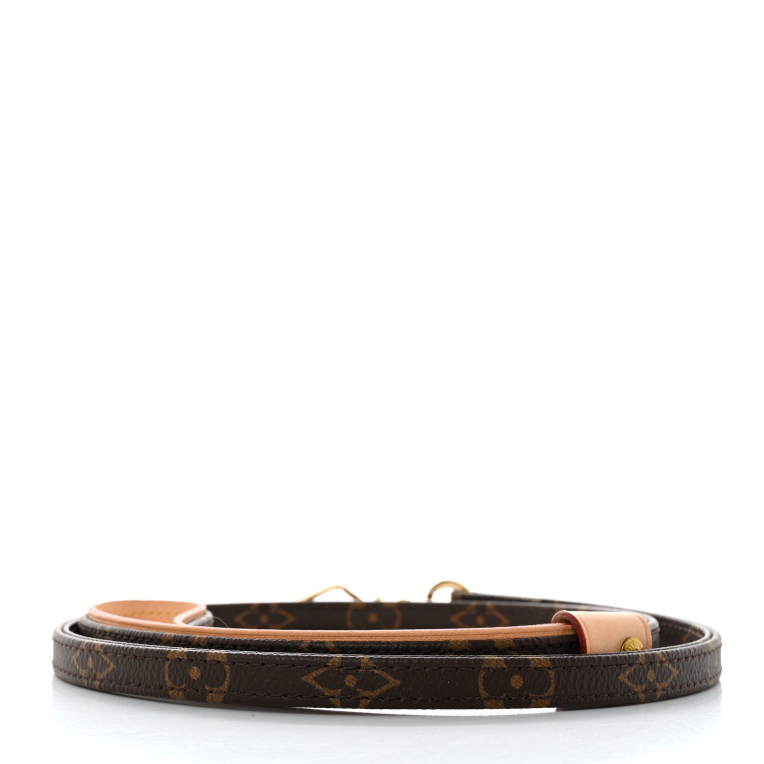 Louis Vuitton Monogram Baxter Dog Leash MM 2 of 7
