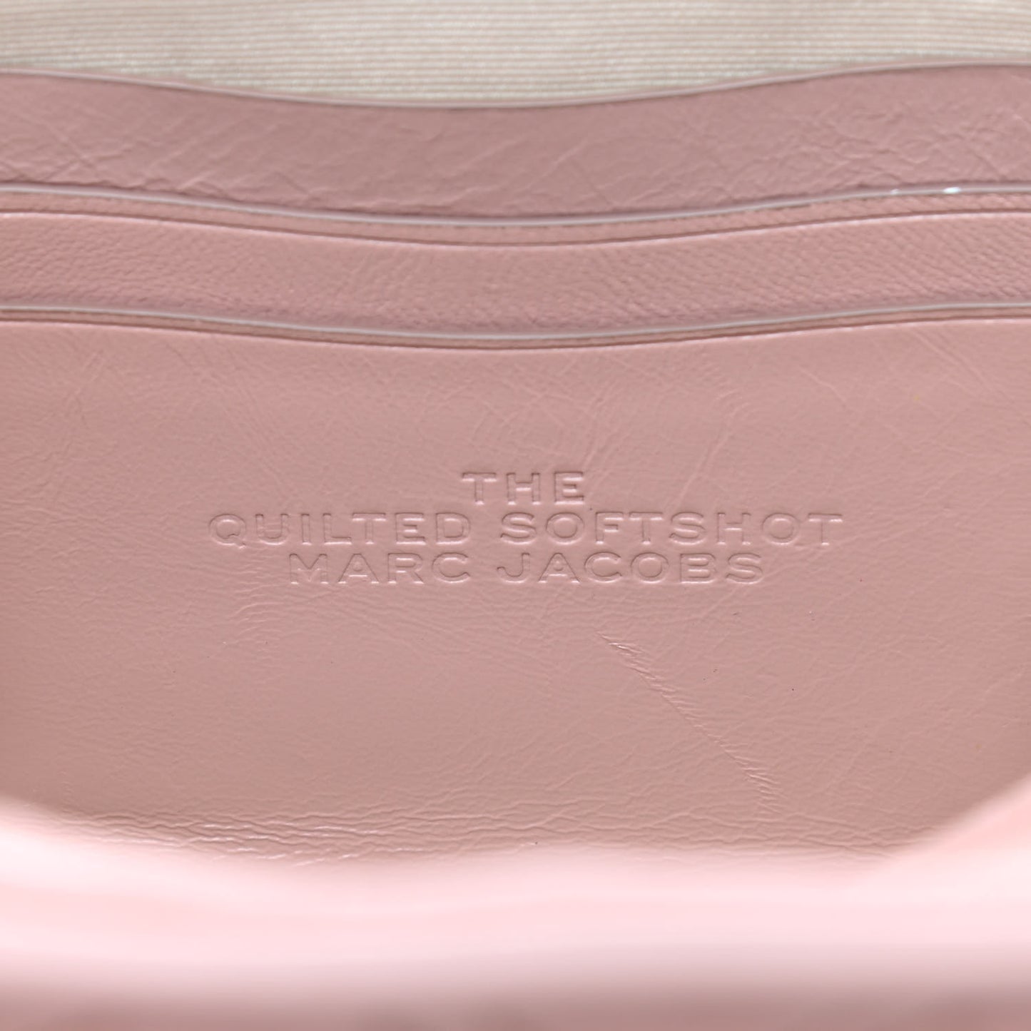 Natural Grain Calfskin Quilted The Softshot 21 Bag Blush