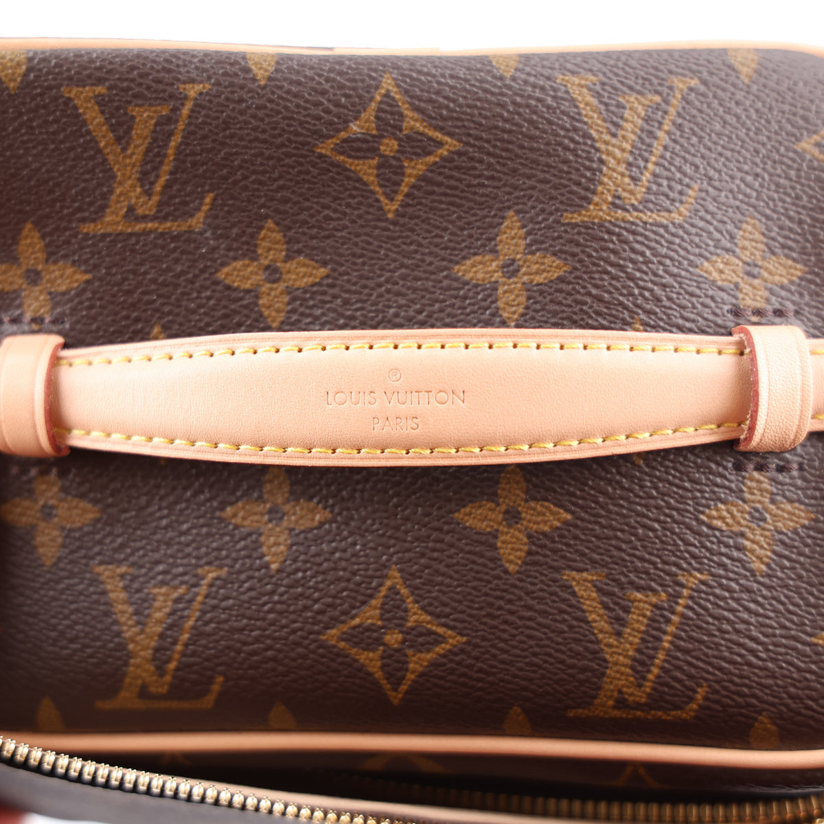 Louis Vuitton Monogram Nice Mini 10 of 10