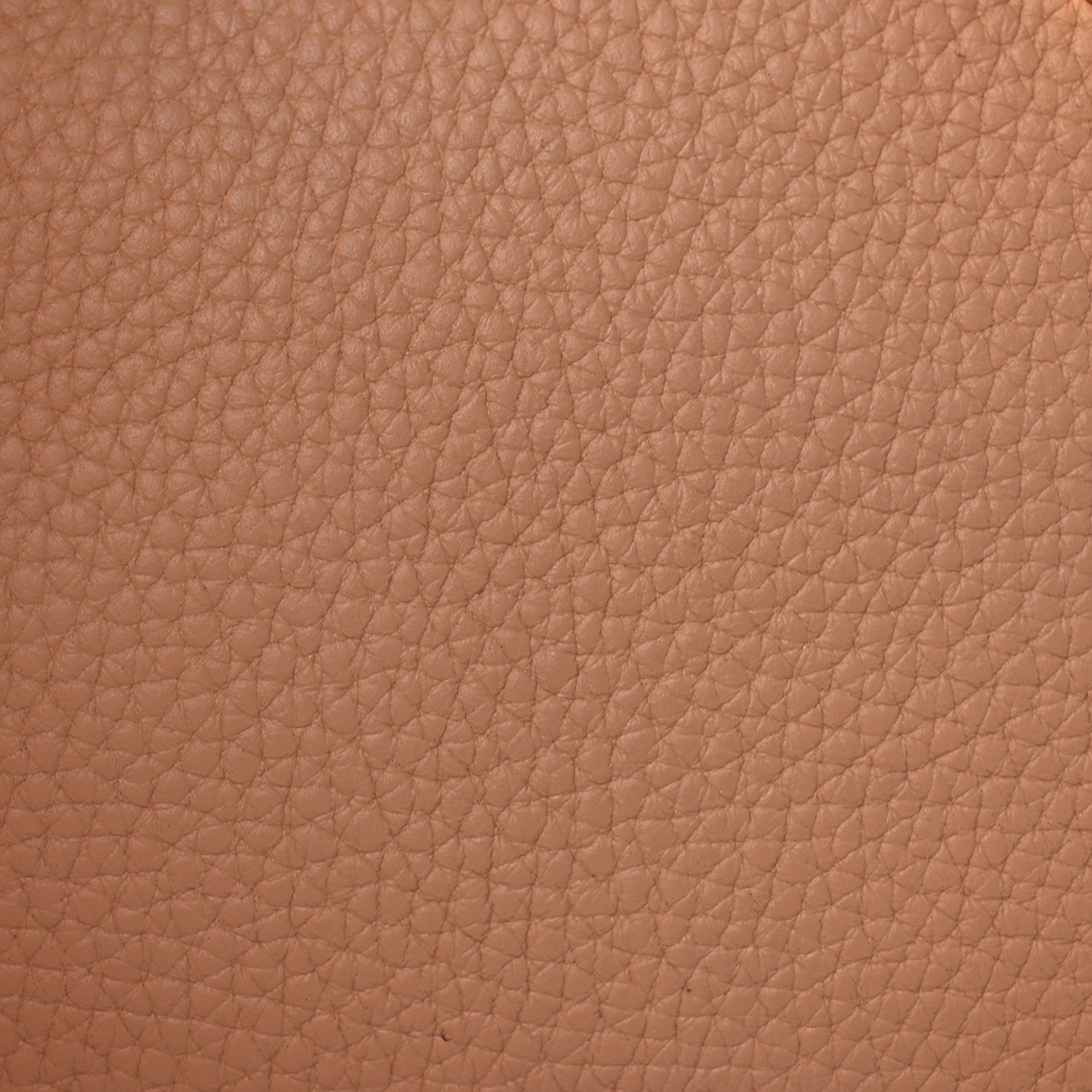 Delvaux Taurillon Soft Mini Cool Box Satchel Latte 8 of 11