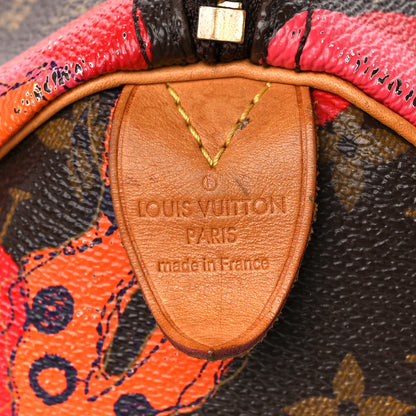 Louis Vuitton Monogram Ramages Speedy 30 Grenade 9 of 16