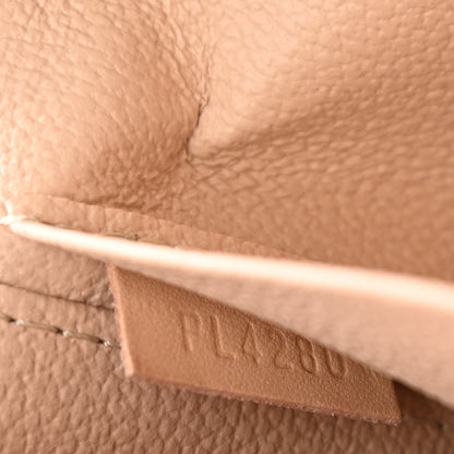 Louis Vuitton Monogram Nice Mini 6 of 6