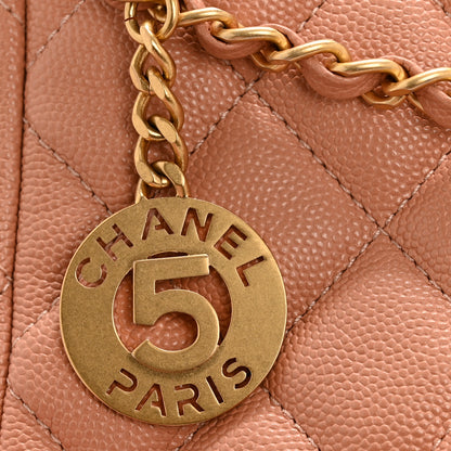 Chanel Caviar Quilted Wavy CC Hobo Beige 14 of 14