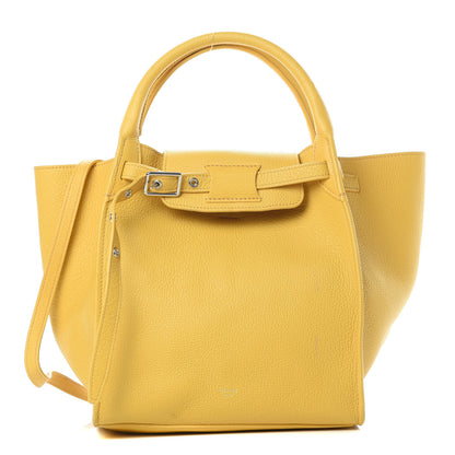 Celine Supple Grained Calfskin Small Long Strap Big Bag Sunflower 1 of 17
