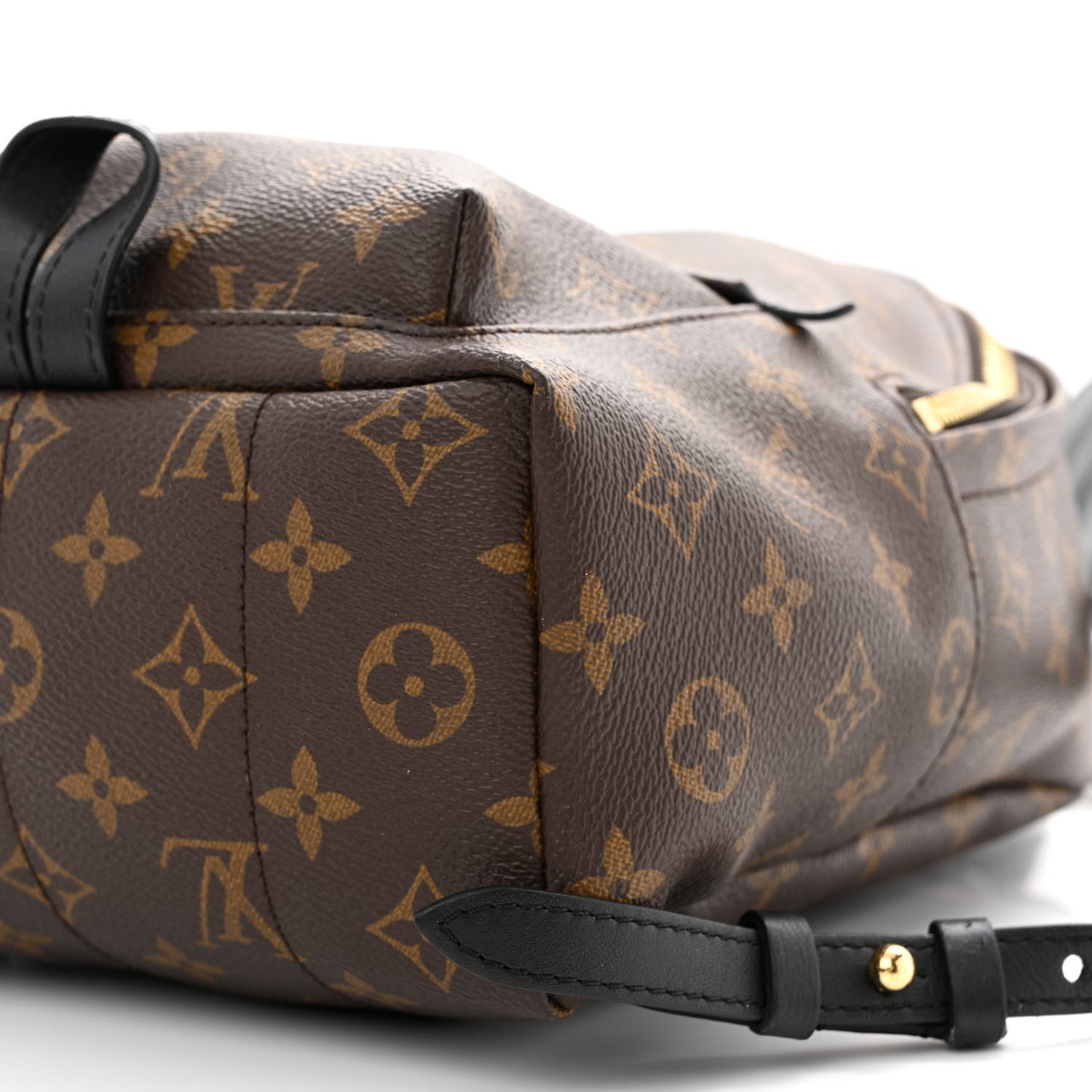 Monogram Palm Springs Backpack PM