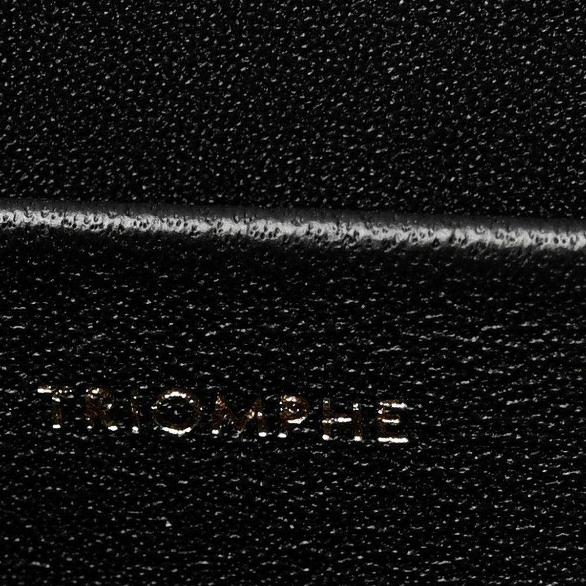 Shiny Calfskin Medium Triomphe Black