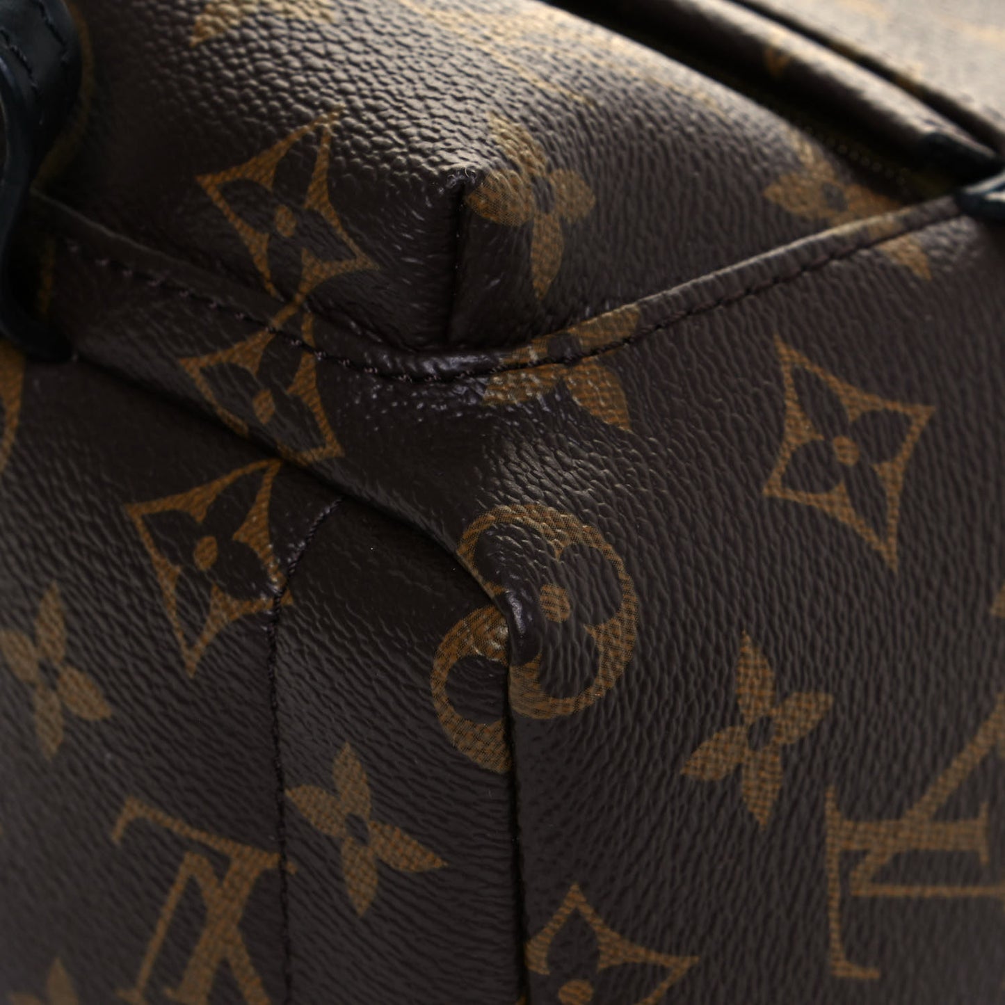 Monogram Palm Springs Backpack Mini