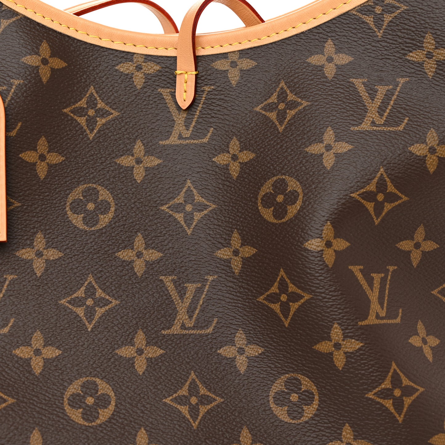 Monogram CarryAll PM