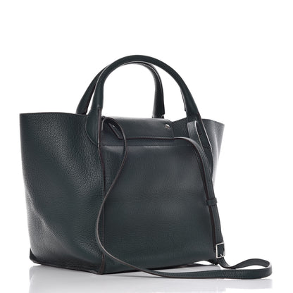 Celine Supple Grained Calfskin Small Big Bag Amazone 3 of 9